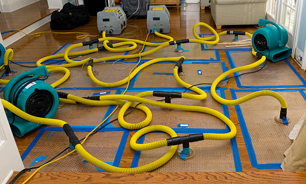 Professional Burst Pipe Water Damage technician working in Cunningham, TN